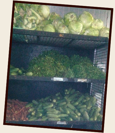 caterers in india